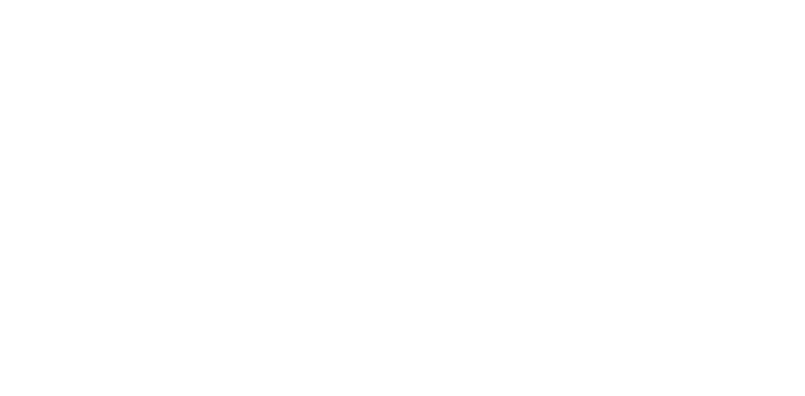 TWENTY EIGHT LND